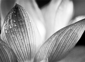 在线客服咨询的短信轰在线轰炸免费网站