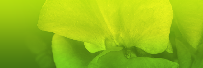 在线手机号测压